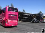 Unidades Paradiso New G7 1800DD / Eme Bus - ETM -- Terminal Sur