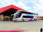 Comil Campione DD / Scania K410 / Pullman Tur