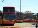 Unidades Volvo - Scania / Pullman Los Libertadores