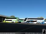 Turbus - Eme Bus / Terminal Maria Teresa - Chillan