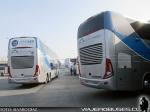 Marcopolo Paradiso G7 1800DD / Volvo B420R / Buses Altas Cumbres