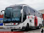 Neobus New Road N10 380 / Scania K410 / MT Bus