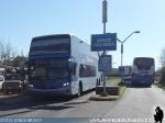 Pullman Bus Fichtur - Pullman JR / Terminal María Teresa - Chillan