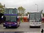 Unidades Busscar / Terminal Lorenzo Varoli - Talca