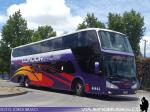 Modasa New Zeus II / Mercedes Benz O-500RSD / Condor Bus