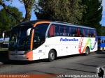 Neobus N10 360 / Scania K360 / Pullman Bus