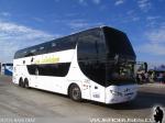 Youngman JPN6137 / Pullman Los Libertadores