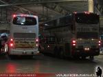 Unidades DD / Volvo B12R / Marcas Pullman Bus