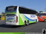 Neobus New Road N10 380 / Scania K400 / Tacoha