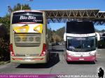 Marcopolo Paradiso G7 / Mercedes Benz O-500RSD - Volvo B420R / BioBio - Pullman Tur