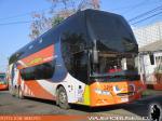 Youngman JPN6137SE / Pullman Los Libertadores