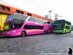 Unidades Modasa New Zeus II / Pullman Bus - Pullman del Sur