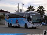 Neobus New Road N10 380 / Scania K400 / MT Bus