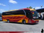 Neobus New Road N10 360 / Mercedes Benz OF-1724 / Pullman Contimar