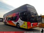 Youngman JPN6137SE / Pullman Los Libertadores