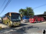 Unidades Irizar / Linea Azul - Terminal de Parral