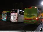 Unidades Gama Bus / Terminal Sur