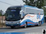 Unidades Eme Bus / Terminal Santiago