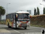 Busscar El Buss 340 / Mercedes Benz OF-1620 / Los Alces