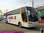 Busscar Jum Buss 380 / Mercedes Benz O-500RS / Condor