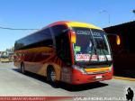 Neobus New Road N10 360 / Mercedes Benz OF-1724 / Pullman Contimar