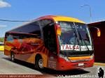 Neobus New Road N10 360 / Mercedes Benz OF-1724 / Pullman Contimar