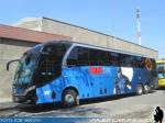 Neobus New Road N10 380 / Scania K410 / Moraga Tour
