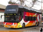 Youngman JPN6137S / Pullman Los Libertadores