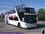 Modasa New Zeus II / Mercedes Benz O-500RSD / Condor Bus