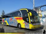 Neobus New Road N380 / Scania K400 / Jet Sur