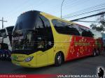 Yangzhou Yaxing YBL6140HPQ / Interbus