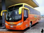 Mascarello Roma MD / Mercedes Benz OF-1722 / Bus-Sur