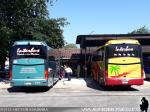 King Long XMQ6130Y / Interbus