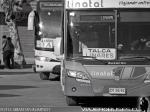 Linatal - Talmocur / Terminal Lorenzo Varoli - Talca