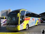 Neobus New Road N10 380 / Scania K400 / Jet Sur