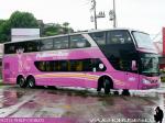 Modasa New Zeus II / Scania K410 / Pullman Bus