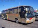 Busscar Vissta Buss LO / Scania K340 / Colcha Maule - Servicio Especial