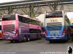 Unidades Marcopolo Paradiso G7 1800DD / Volvo B12R - B420R / Pullman del Sur