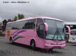 Marcopolo Viaggio 1050 / Scania F94HB / Talmocur