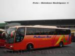 Marcopolo Viaggio 1050 / Volvo B9R / Pullman Bus