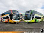 Busscar Busstar DD / Scania K400 / Queilen Bus