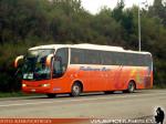 Marcopolo Viaggio 1050 / Scania K340 / Pullman Bus