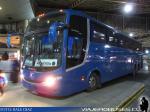 Comil Campione 3.65 / Volvo B12R / Pullman Setter