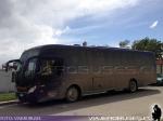 Mascarello Roma MD / Mercedes Benz OF-1722 / Buses Patagonia