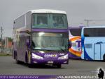 Modasa New Zeus II / Mercedes Benz O-500RSD / Condor Bus