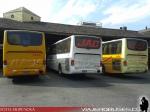 Marcopolo Andare Class 850 / Mercedes Benz OH-1628 / JAC