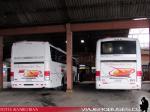 Unidades Mercedes Benz O-500RS / Pullman del Sur - Teminal de Cauquenes