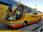 Unidades Marcopolo / Cruz del Sur - Pullman Sur