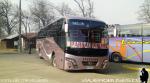 Golden Dragon / Interbus