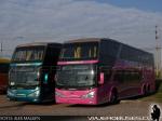 Modasa New Zeus II / Volvo B420R / Thaebus